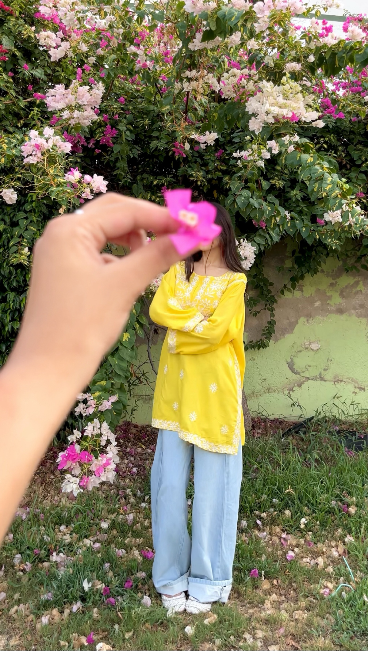 Sunflower Bloom