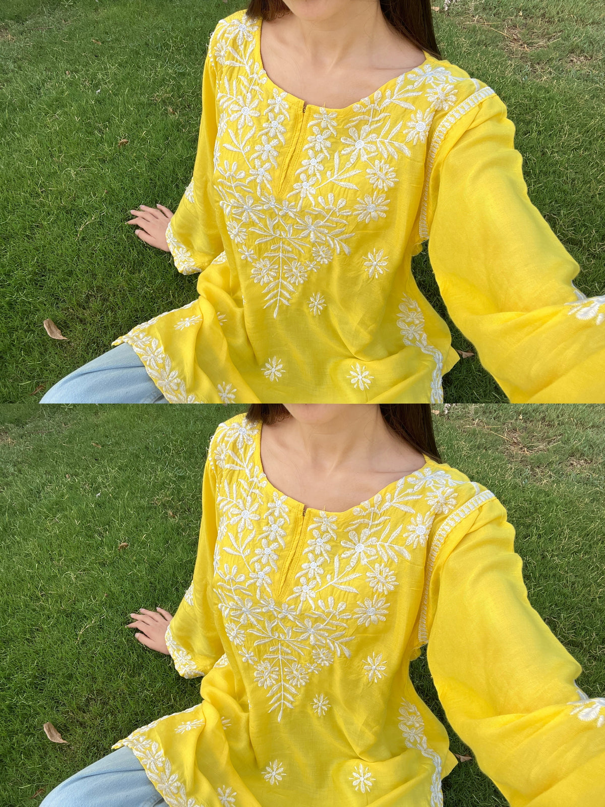 Sunflower Bloom