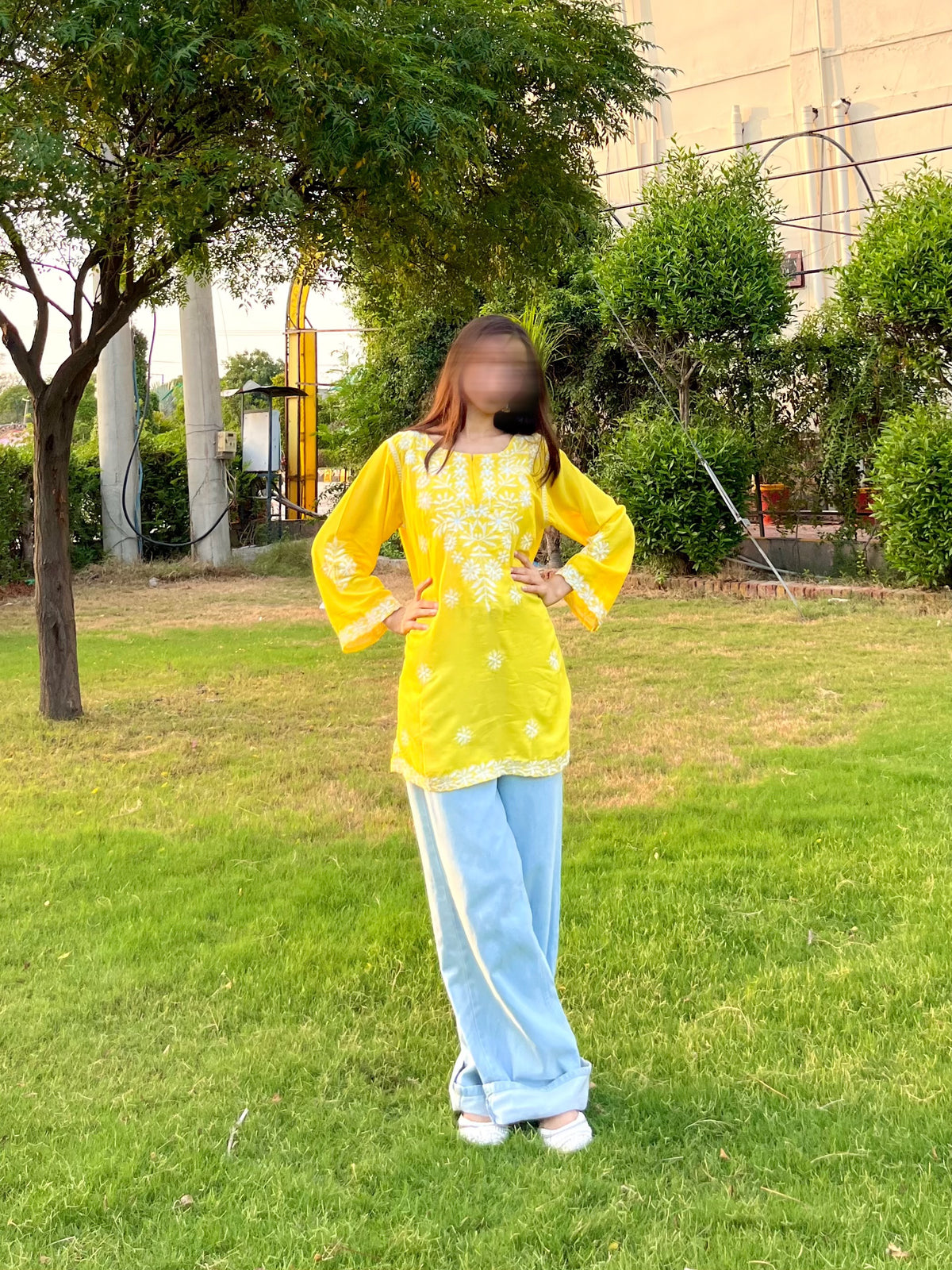 Sunflower Bloom